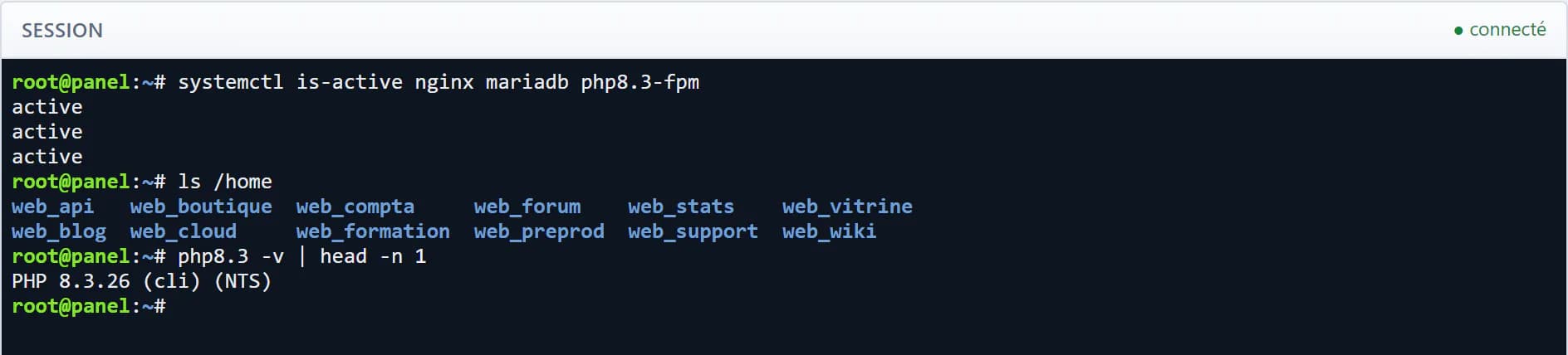 Le terminal web de Passroyal Panel : une session root ouverte dans le navigateur.